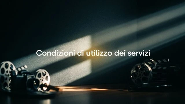 Condizioni di utilizzo dei servizi Condizioni di utilizzo dei servizi